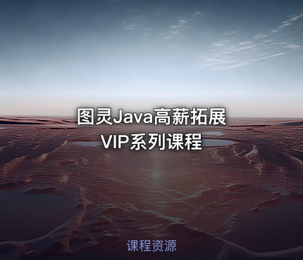 图灵Java高薪拓展 VIP系列课程