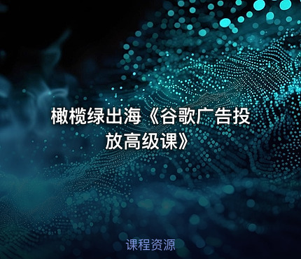橄榄绿出海《谷歌广告投放高级课》
