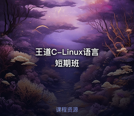 王道C-Linux语言短期班