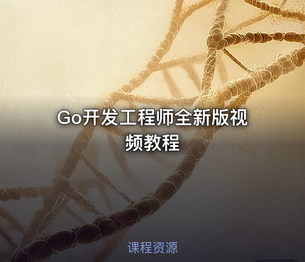Go开发工程师全新版视频教程