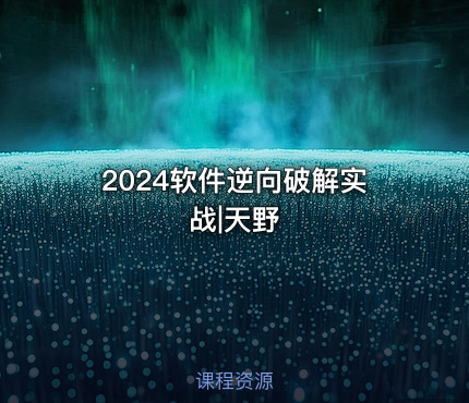 2024软件逆向破解实战|天野