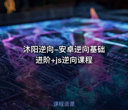 沐阳逆向-安卓逆向基础进阶+js逆向课程