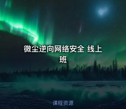 微尘逆向网络安全 线上班