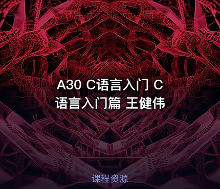 A30 C语言入门 C语言入门篇 王健伟