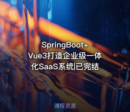 SpringBoot+Vue3打造企业级一体化SaaS系统|已完结