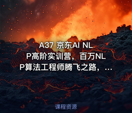 A37 京东AI NLP高阶实训营，百万NLP算法工程师腾飞之路，视频+源码价值25800元