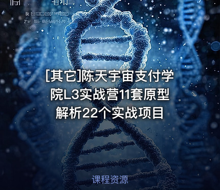 陈天宇宙支付学院L3实战营11套原型解析22个实战项目