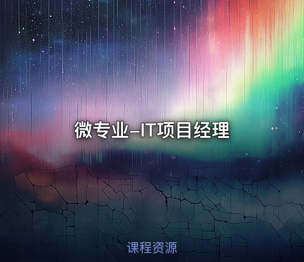 微专业-IT项目经理