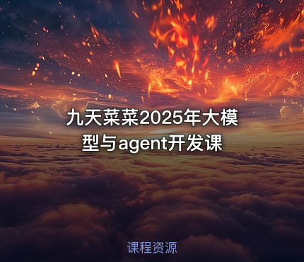 九天菜菜2025年大模型与agent开发课
