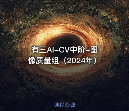 有三AI-CV中阶-图像质量组（2024年）