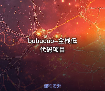bubucuo-全栈低代码项目