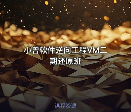 小曾软件逆向工程VM二期还原班
