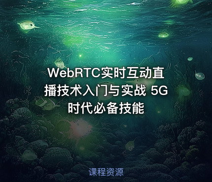 WebRTC实时互动直播技术入门与实战 5G时代必备技能