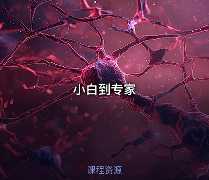 小白到专家