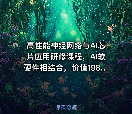 高性能神经网络与AI芯片应用研修课程，Ai软硬件相结合，价值19800