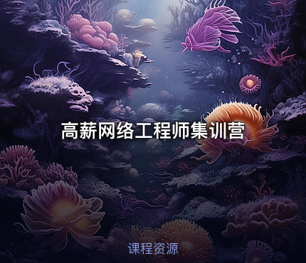 高薪网络工程师集训营
