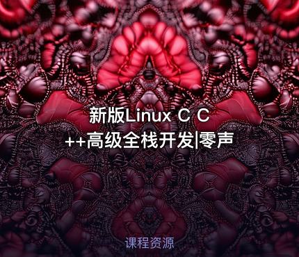 新版Linux C C++高级全栈开发|零声