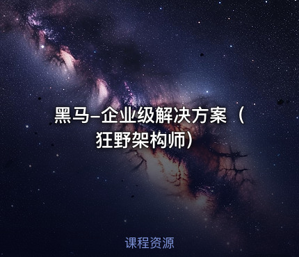 黑马-企业级解决方案（狂野架构师）