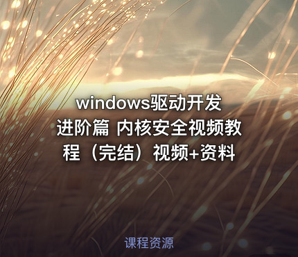 windows驱动开发进阶篇 内核安全视频教程（完结）视频+资料