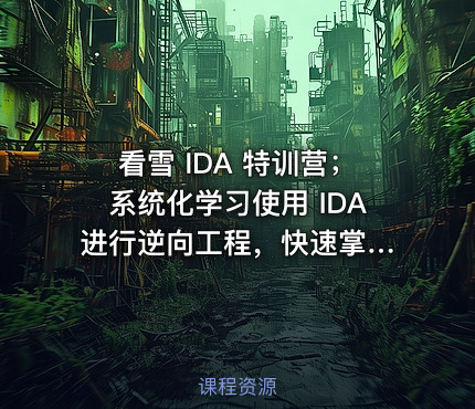 看雪 IDA 特训营；系统化学习使用 IDA 进行逆向工程，快速掌握 IDA 重要操作