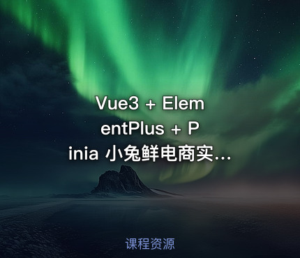 Vue3 + ElementPlus + Pinia 小兔鲜电商实战教程