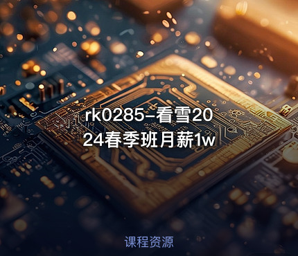 看雪2024春季班月薪1w
