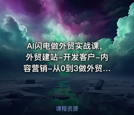 AI闪电做外贸实战课，外贸建站-开发客户-内容营销-从0到3做外贸AI（更新）