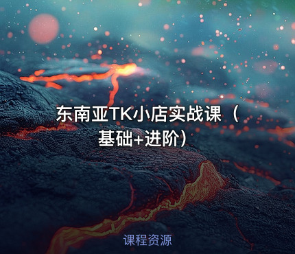 东南亚TK小店实战课（基础+进阶）