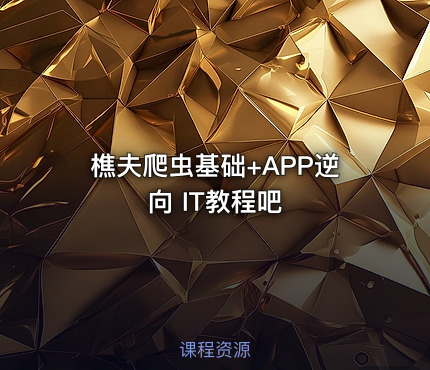 樵夫爬虫基础+APP逆向 IT教程吧