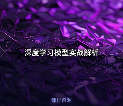深度学习模型实战解析