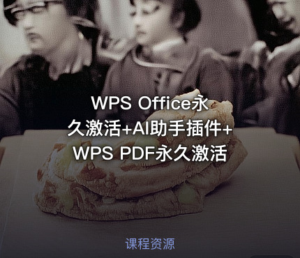 WPS Office永久激活+AI助手插件+WPS PDF永久激活