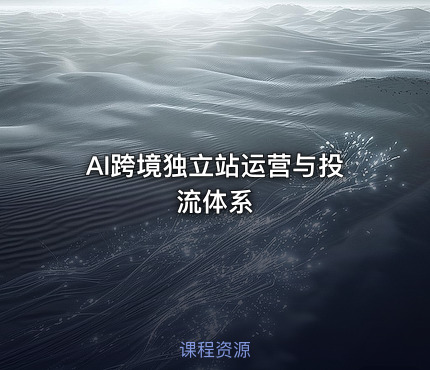 AI跨境独立站运营与投流体系