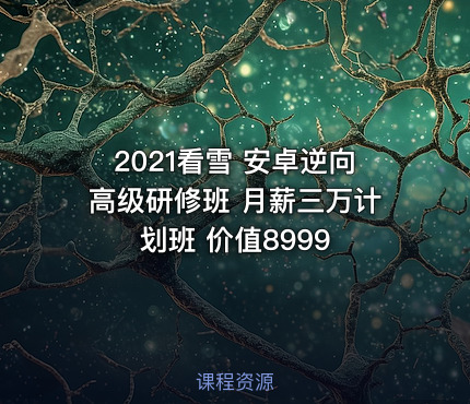 2021看雪 安卓逆向高级研修班 月薪三万计划班 价值8999