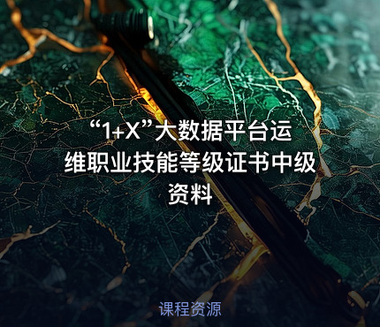 “1+X”大数据平台运维职业技能等级证书中级资料