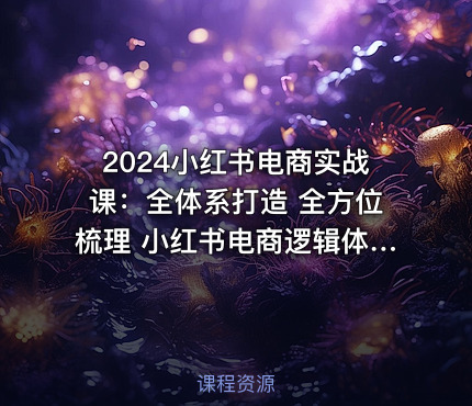 2024小红书电商实战课：全体系打造 全方位梳理 小红书电商逻辑体系 (42节)