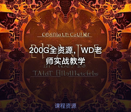 200G全资源，WD老师实战教学