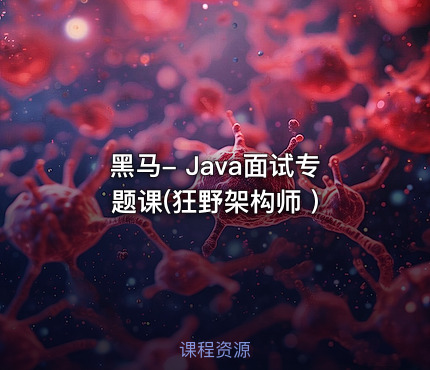 黑马- Java面试专题课(狂野架构师 )