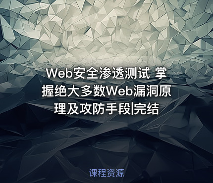Web安全渗透测试 掌握绝大多数Web漏洞原理及攻防手段|完结