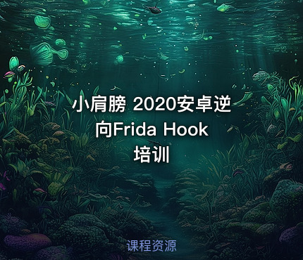 小肩膀 2020安卓逆向Frida Hook培训