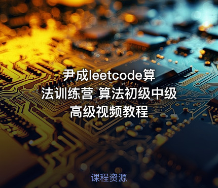 尹成leetcode算法训练营 算法初级中级高级视频教程