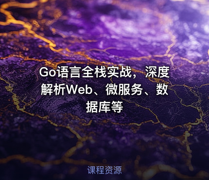 Go语言全栈实战，深度解析Web、微服务、数据库等