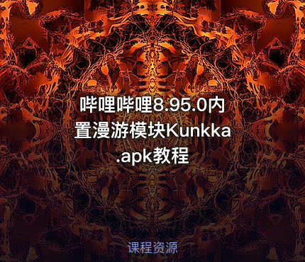 哔哩哔哩8.95.0内置漫游模块Kunkka.apk教程