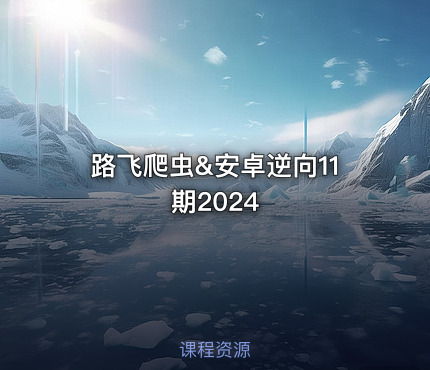 路飞爬虫&安卓逆向11期2024