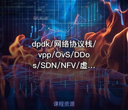 dpdk/网络协议栈/vpp/OvS/DDos/SDN/NFV/虚拟化/高性能专家之路|零声