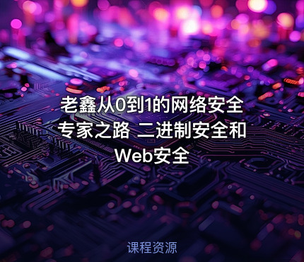 老鑫从0到1的网络安全专家之路 二进制安全和Web安全