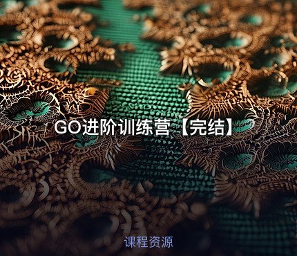 GO进阶训练营【完结】