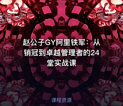 赵公子GY阿里铁军：从销冠到卓越管理者的24堂实战课