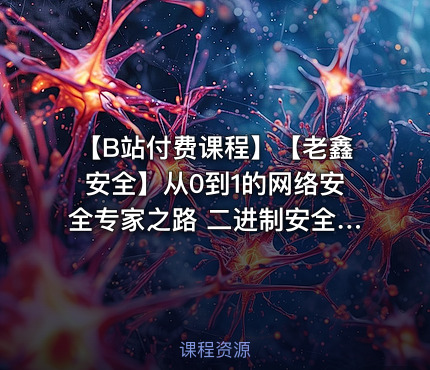 【B站付费课程】【老鑫安全】从0到1的网络安全专家之路 二进制安全和Web安全