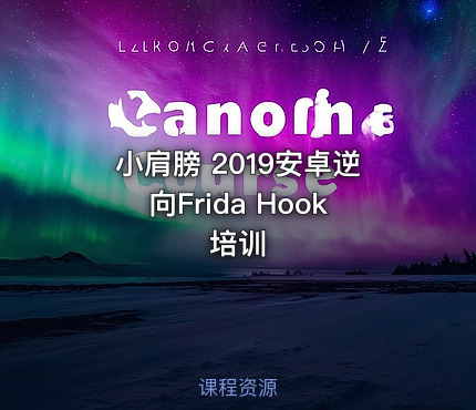 小肩膀 2019安卓逆向Frida Hook培训
