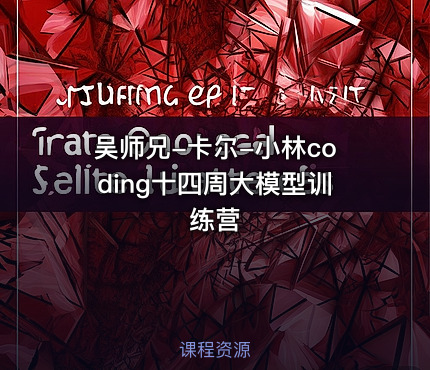 吴师兄-卡尔-小林coding十四周大模型训练营